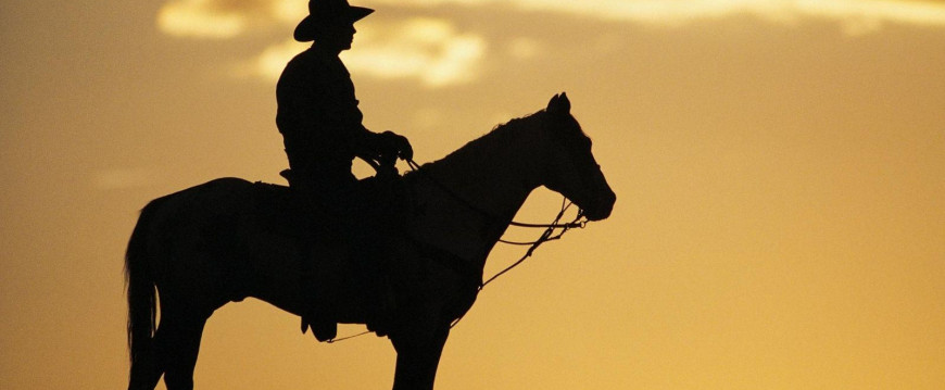 Mesa redonda mostra perspectivas de melhores negociações entre pecuaristas e varejistas Mesa redonda mostra perspectivas de melhores negociações entre pecuaristas e varejistas