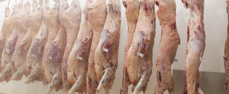 Marca brasileira de carnes premium recebe prêmio de excelência em padronização de carcaça