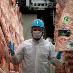 Guilherme Fagundes - Representante e fornecedor de Wagyu (Kobe - Japão) Guilherme Fagundes - Representante e fornecedor de Wagyu (Kobe - Japão)