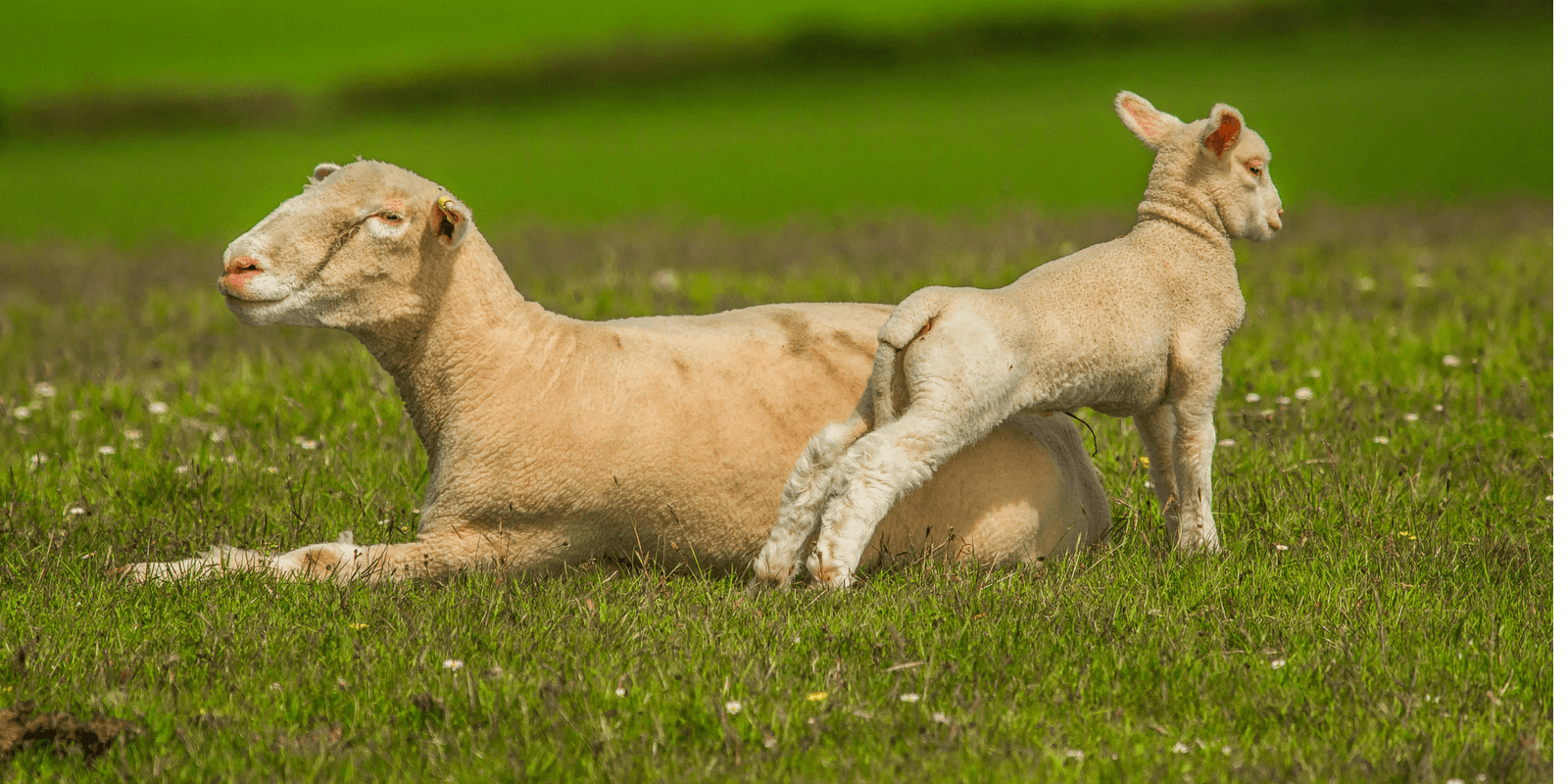 Demanda que cresce! Demanda que cresce!