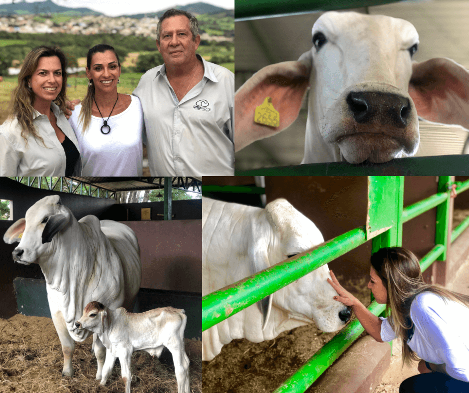 Expedição promove trocas e muito aprendizado no agro brasileiro Expedição promove trocas e muito aprendizado no agro brasileiro