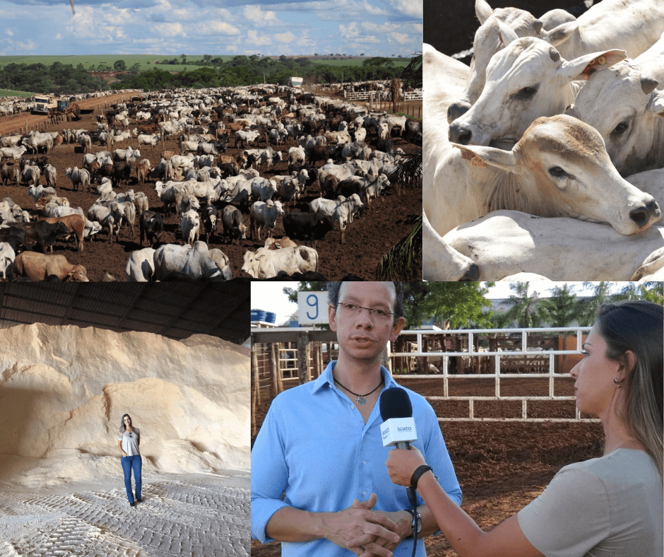 Expedição promove trocas e muito aprendizado no agro brasileiro Expedição promove trocas e muito aprendizado no agro brasileiro