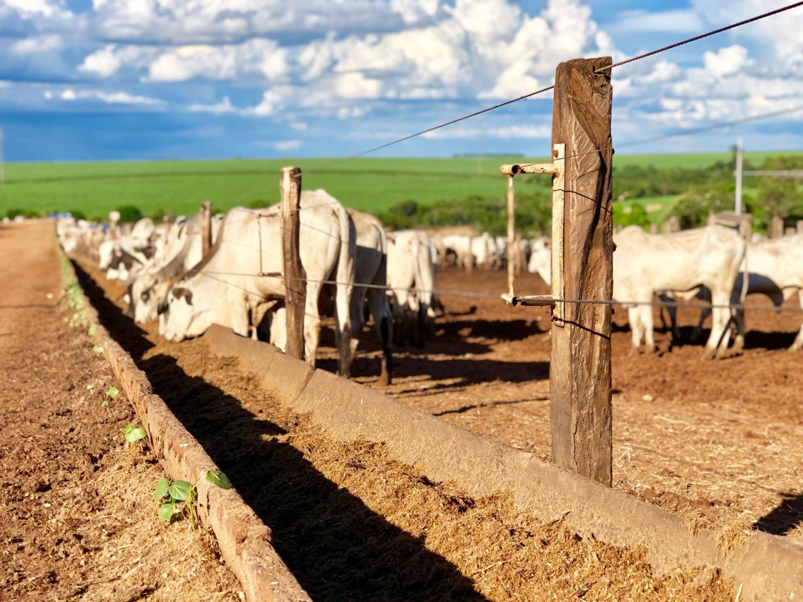 TC participa de expedição que promove trocas e muito aprendizado no Agro brasileiro TC participa de expedição que promove trocas e muito aprendizado no Agro brasileiro