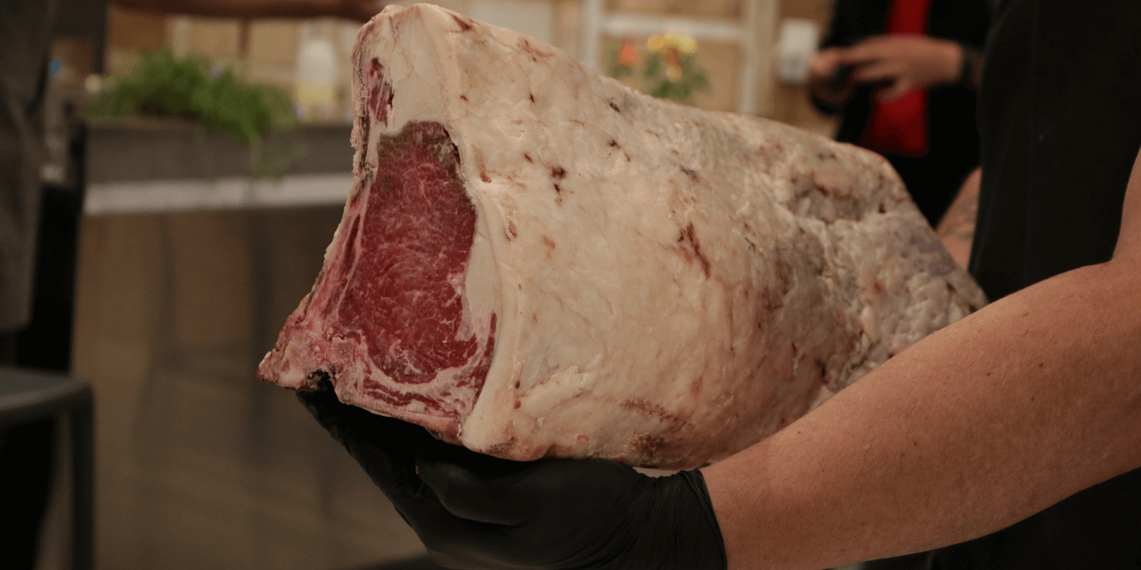 Programa Carne 4.0: Inteligência na Formação do Novo Profissional da Cadeia da Carne Programa Carne 4.0: Inteligência na Formação do Novo Profissional da Cadeia da Carne