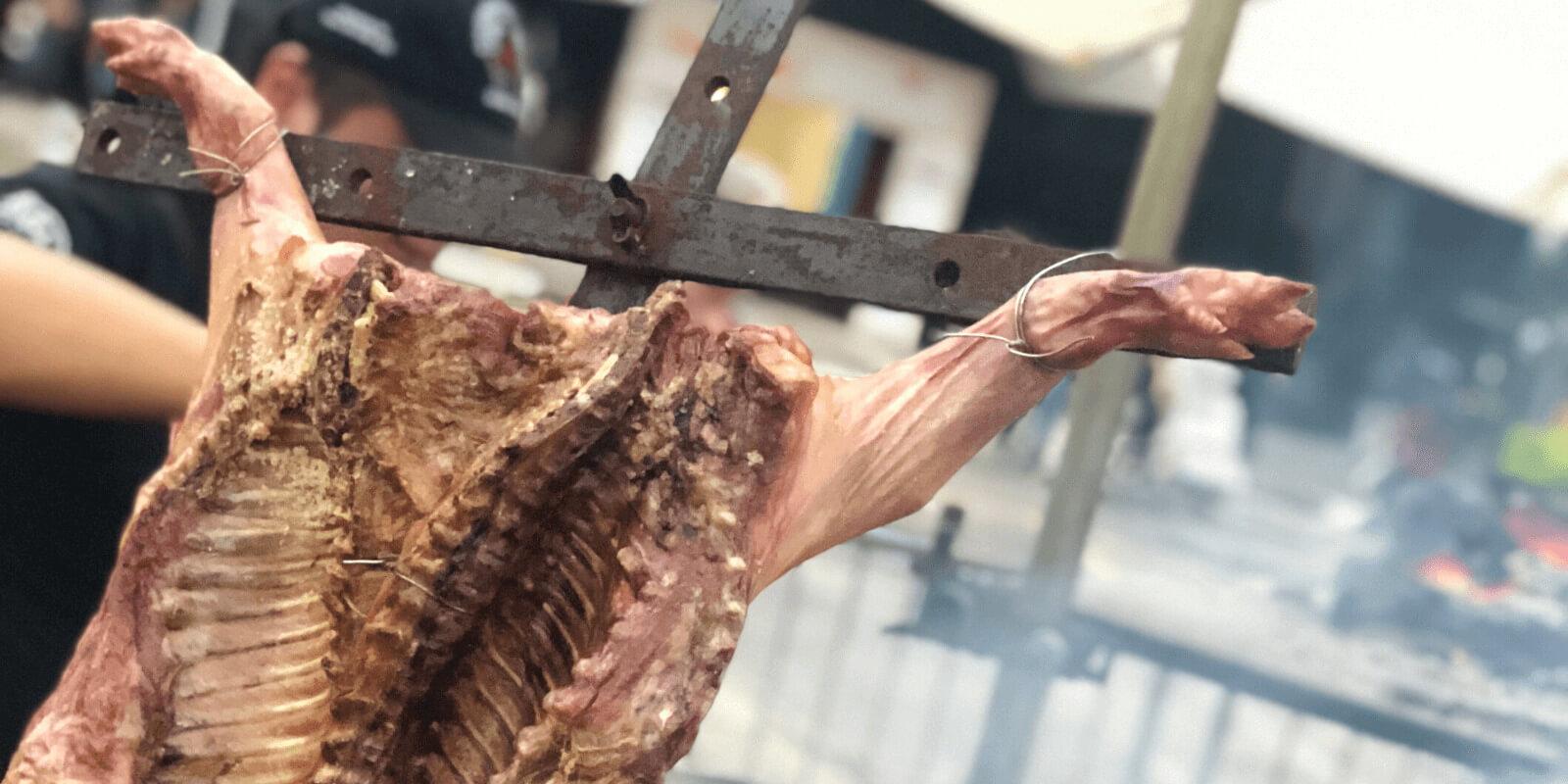 Você é um carnívoro oportunista Você é um carnívoro oportunista