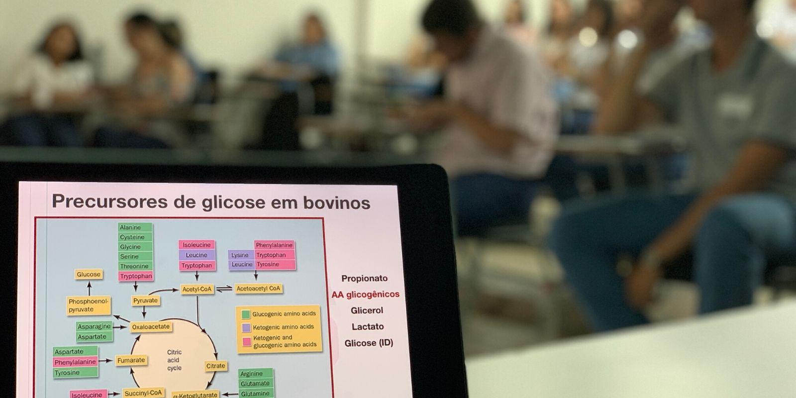Território da Carne promove curso para profissionais da cadeia da carne em São Paulo  Território da Carne promove curso para profissionais da cadeia da carne em São Paulo