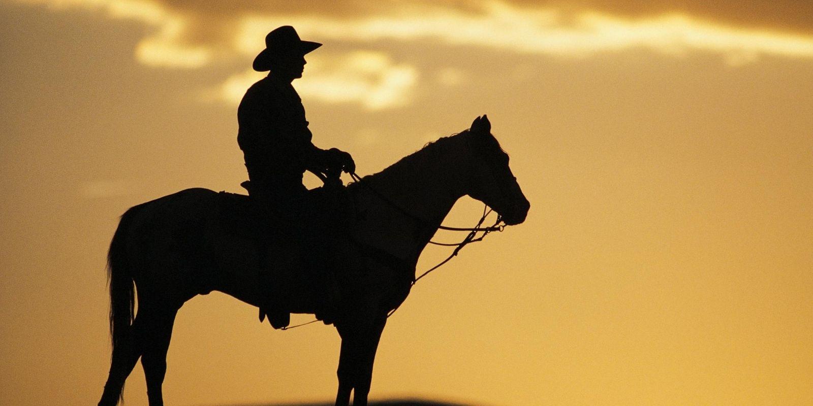 Mesa redonda mostra perspectivas de melhores negociações entre pecuaristas e varejistas Mesa redonda mostra perspectivas de melhores negociações entre pecuaristas e varejistas
