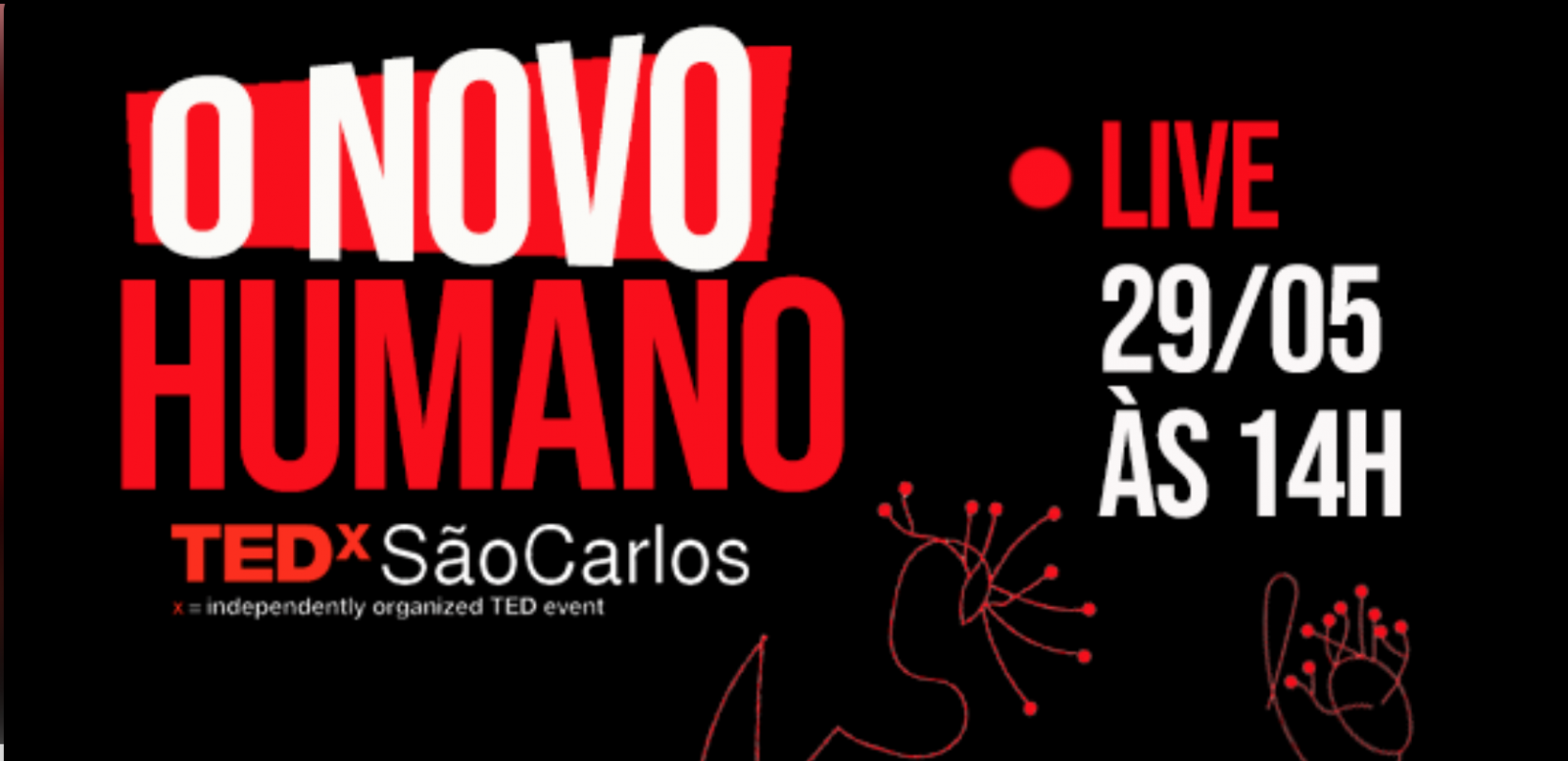 Fundadora do Território da Carne participa do TEDx São Carlos com fala intrigante Fundadora do Território da Carne participa do TEDx São Carlos com fala intrigante