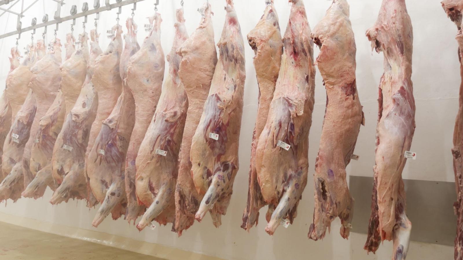 Marca brasileira de carnes premium recebe prêmio de excelência em padronização de carcaça Marca brasileira de carnes premium recebe prêmio de excelência em padronização de carcaça