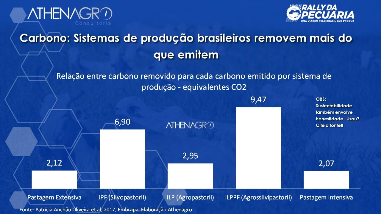Bill Gates vê arroto das vacas como maléfico para o meio ambiente e propõe solução Bill Gates vê arroto das vacas como maléfico para o meio ambiente e propõe solução