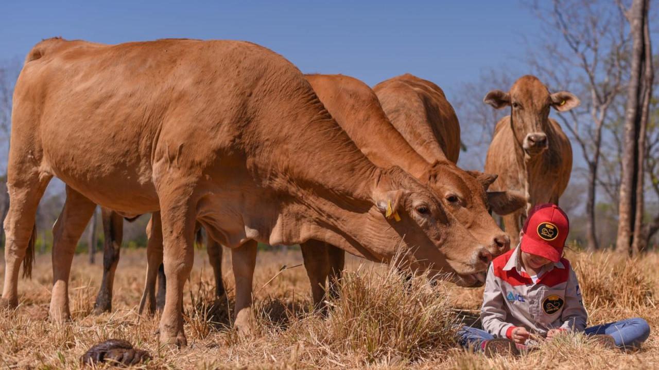 Pecuária holística: uma nova visão sobre a pecuária Pecuária holística: uma nova visão sobre a pecuária