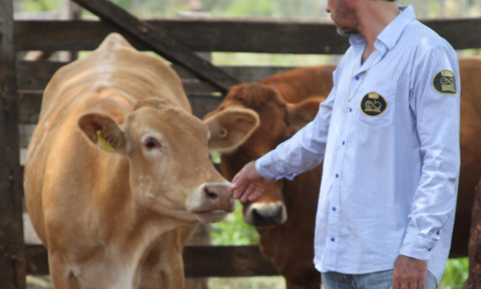 Pecuária holística: uma nova visão sobre a pecuária Pecuária holística: uma nova visão sobre a pecuária