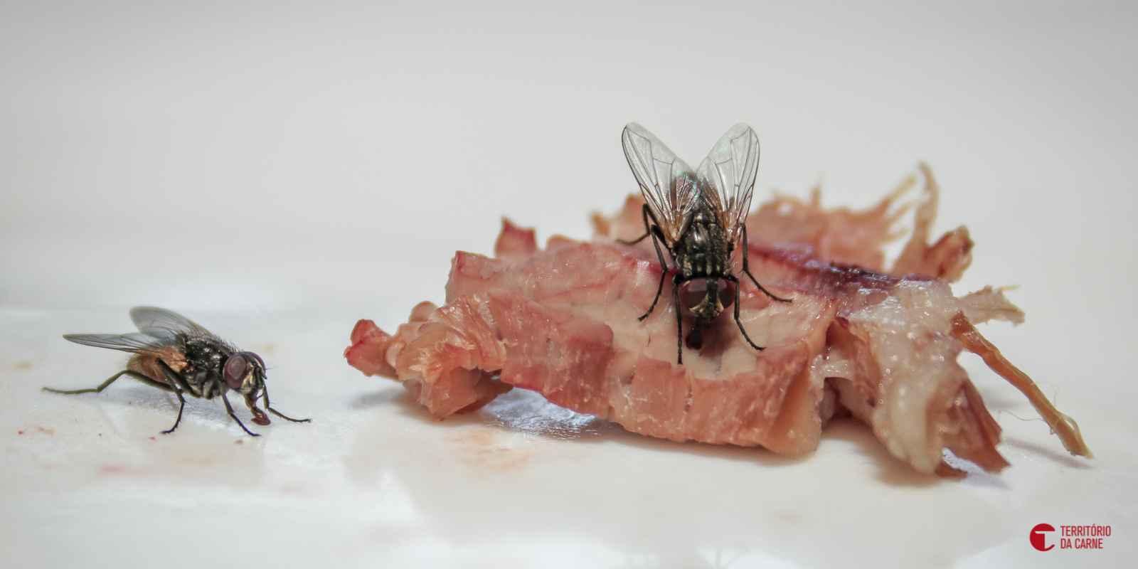 Conheça os golpes mais comuns em comércios e saiba como proteger sua empresa Conheça os golpes mais comuns em comércios e saiba como proteger sua empresa