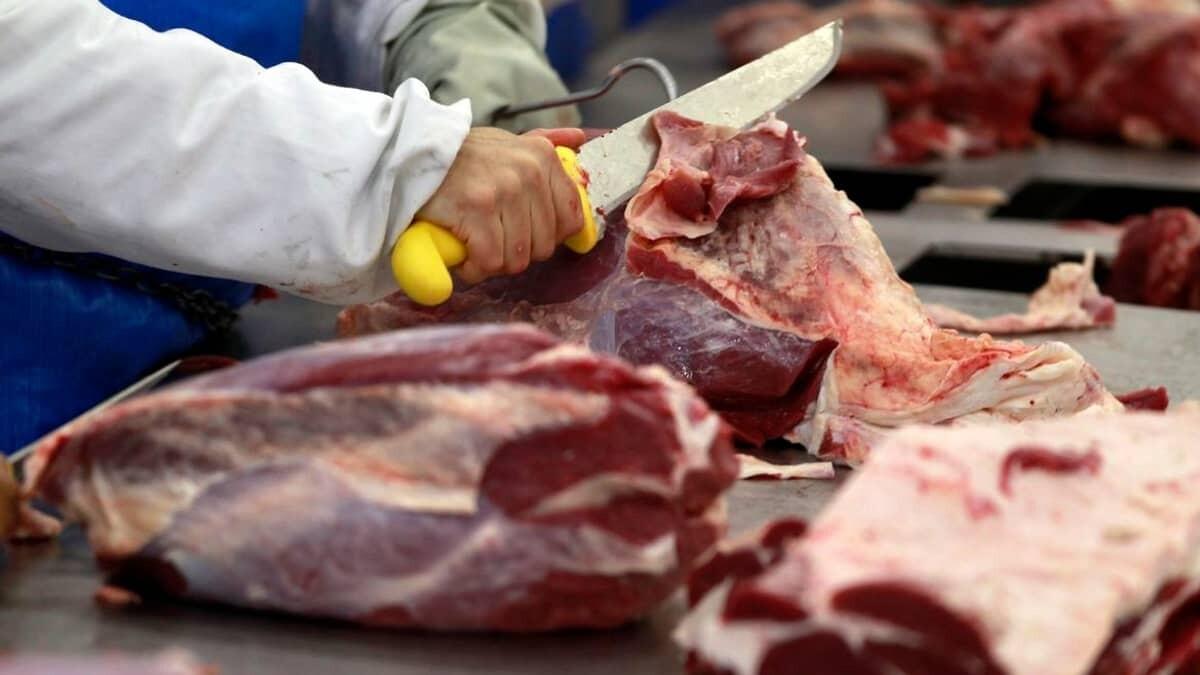 Mesmo com tarifa dos EUA, preço da carne bovina no Brasil se mantém firme